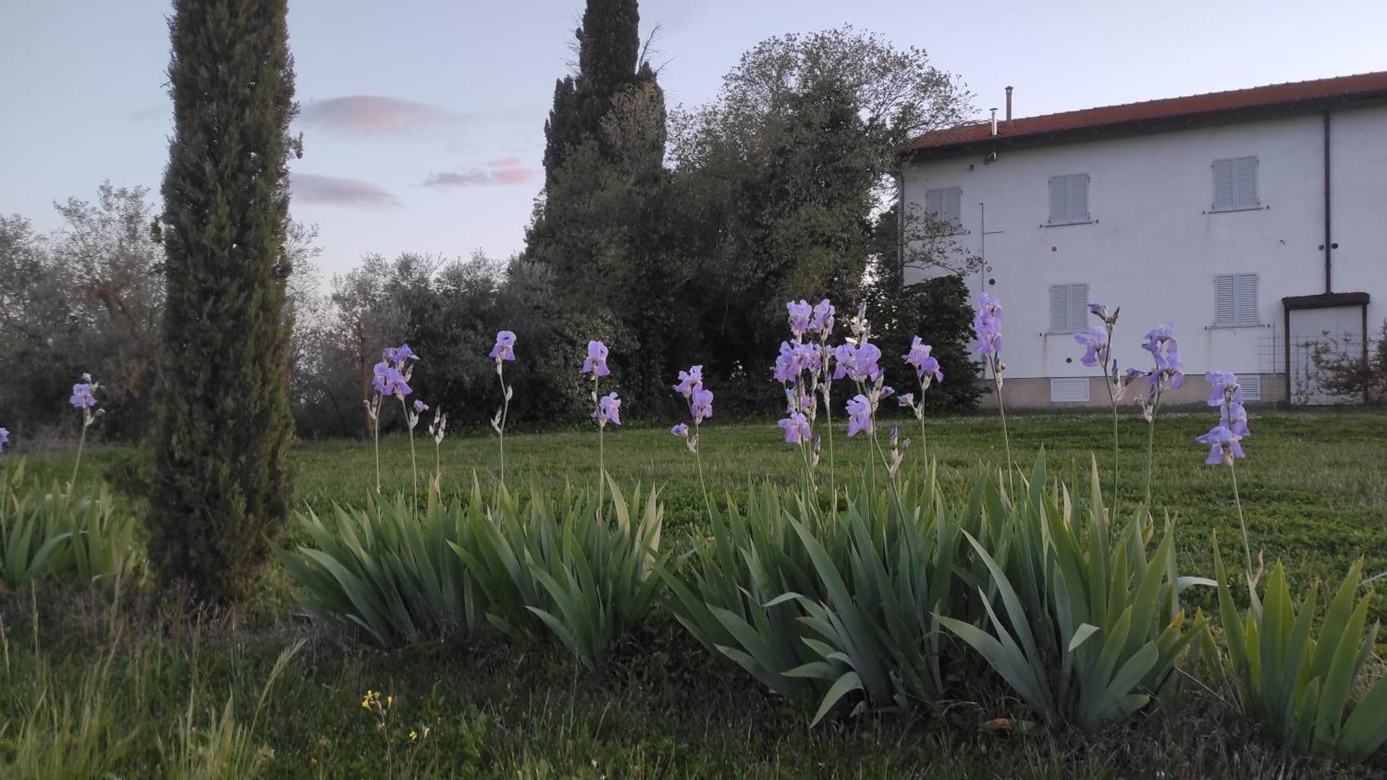 Borgo Iris Villa Pietraia Exterior photo